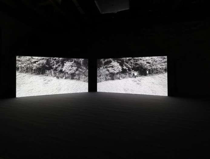 installation_view_of_the_owl_the_travellers_and_the_cement_drain_2024_as_part_of_seeing_forest_at_the_singapore_pavilion_at_biennale_arte_2024._courtesy_of_robert_zhao_renhui.jpg