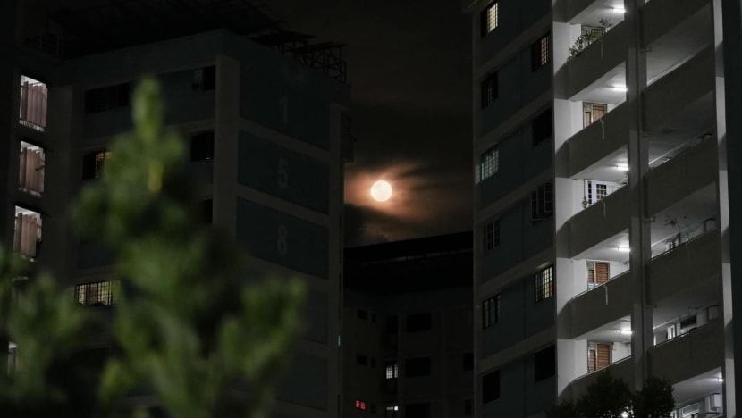 full_pink_moon_in_singapore_on_apr_24_2024_lawrence_wong.jpg